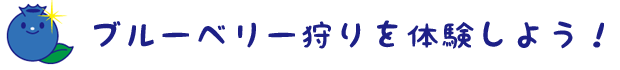 ブルーベリー狩りを体験しよう！